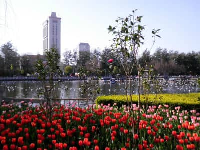 Green Lake Park, Kunming