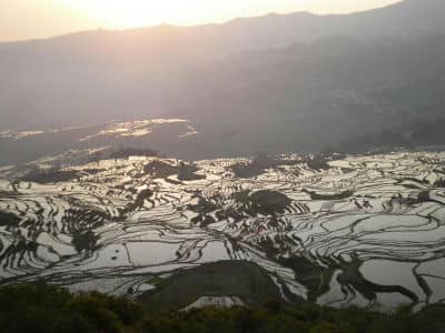 Terraced Fields, Yuanyang