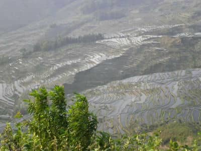 Terraced Fields, Yuanyang